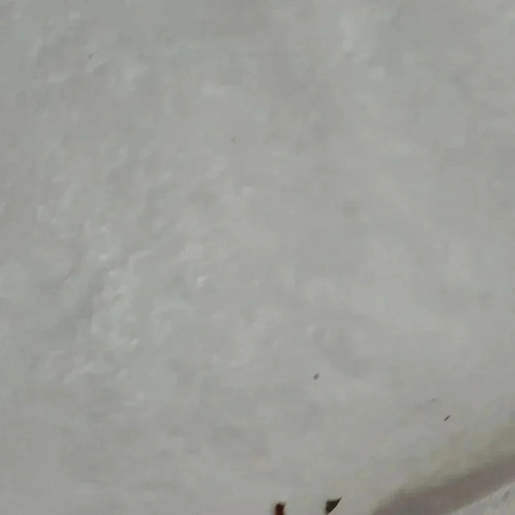 Books! - Picture 7 of 17